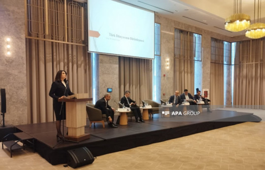 Directrice de l’Institut : La coopération militaire Azerbaïdjan–Türkiye atteint un niveau stratégique