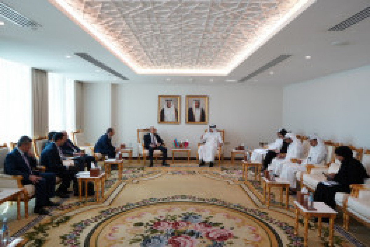 Réunions de la Commission mixte Azerbaïdjan-Qatar et du Conseil des affaires à Doha - VIDÉO 