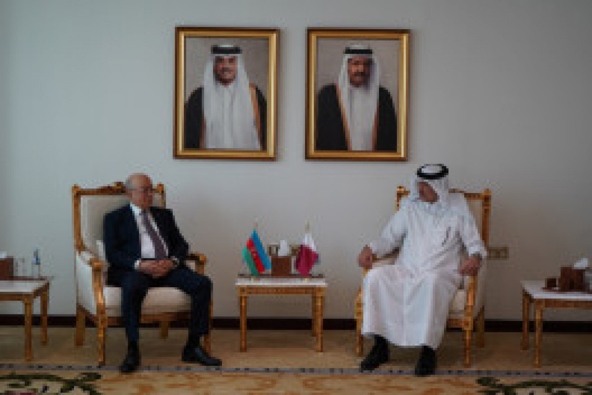 Réunions de la Commission mixte Azerbaïdjan-Qatar et du Conseil des affaires à Doha - VIDÉO 