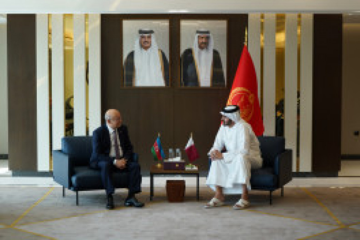 Réunions de la Commission mixte Azerbaïdjan-Qatar et du Conseil des affaires à Doha - VIDÉO 