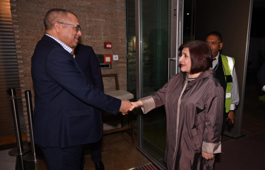 La Présidente du Parlement azerbaïdjanais entame une visite de travail en Afrique du Sud