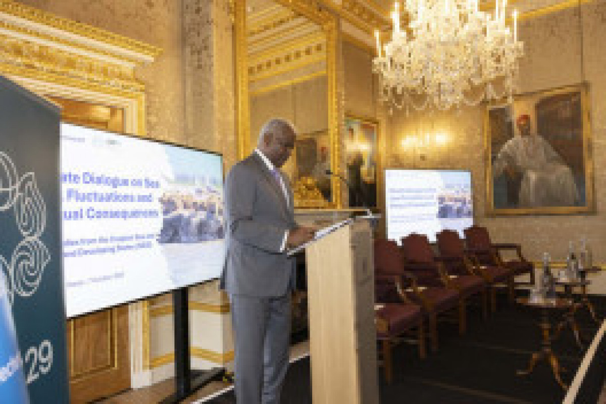 La vice-présidente de la Fondation Heydar Aliyev participe au dialogue phare sur le climat à Londres