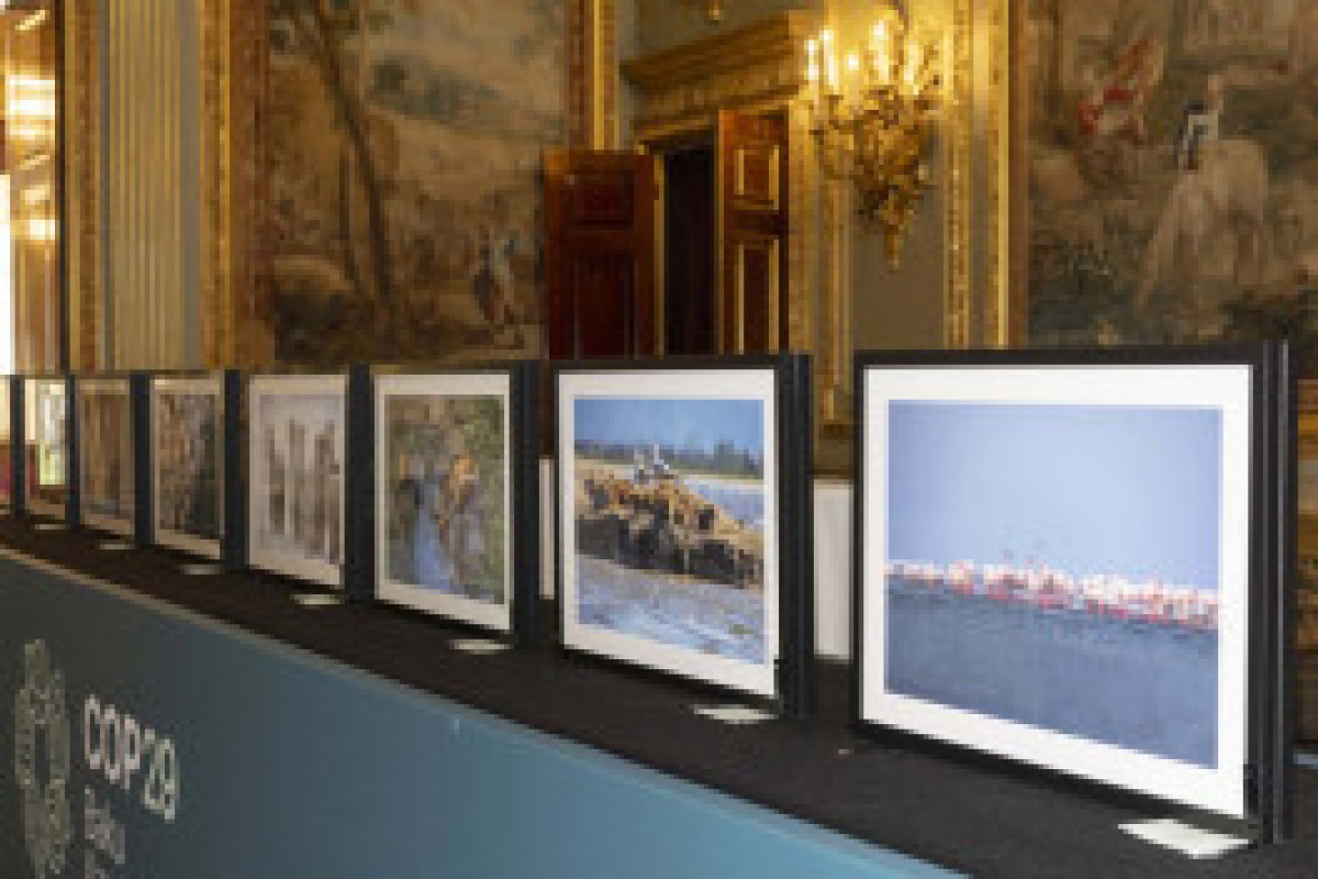 La vice-présidente de la Fondation Heydar Aliyev participe au dialogue phare sur le climat à Londres