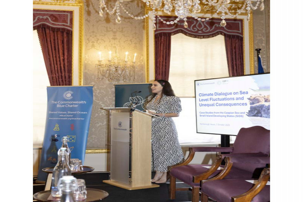 La vice-présidente de la Fondation Heydar Aliyev participe au dialogue phare sur le climat à Londres