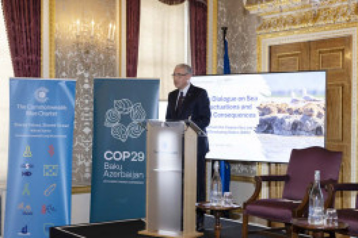 La vice-présidente de la Fondation Heydar Aliyev participe au dialogue phare sur le climat à Londres