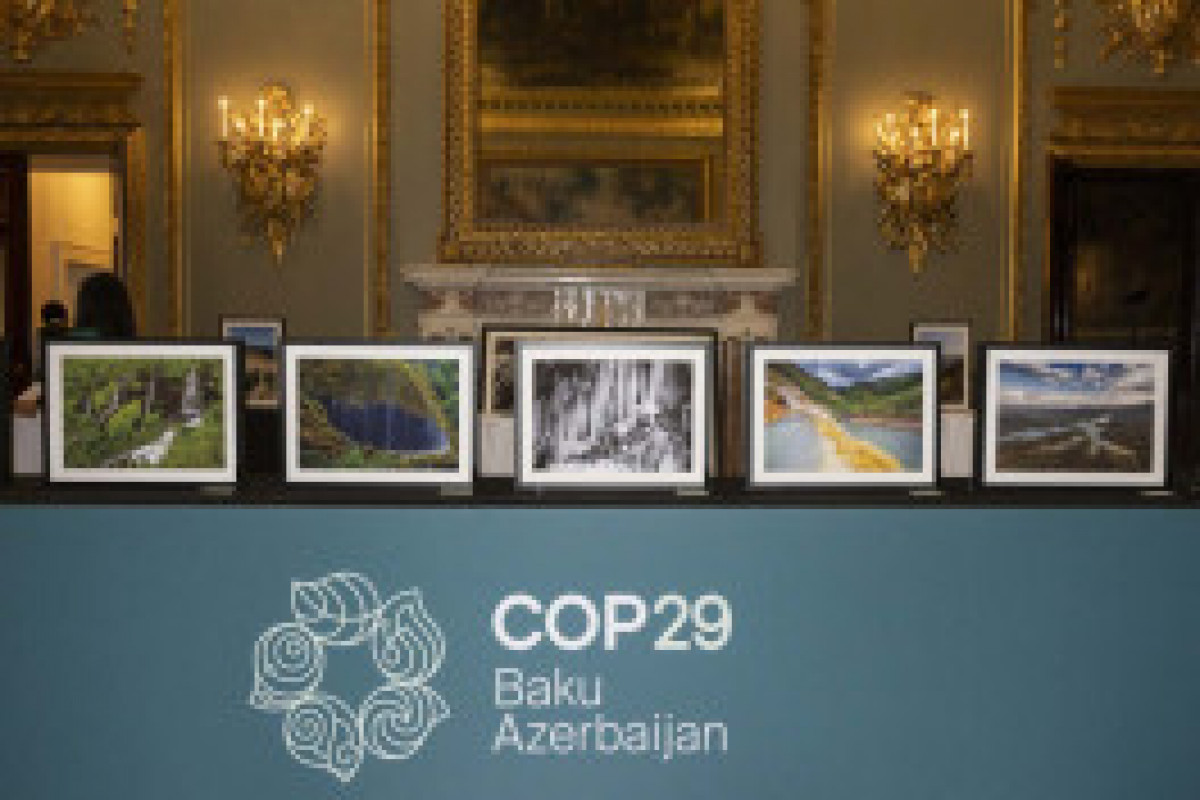 La vice-présidente de la Fondation Heydar Aliyev participe au dialogue phare sur le climat à Londres