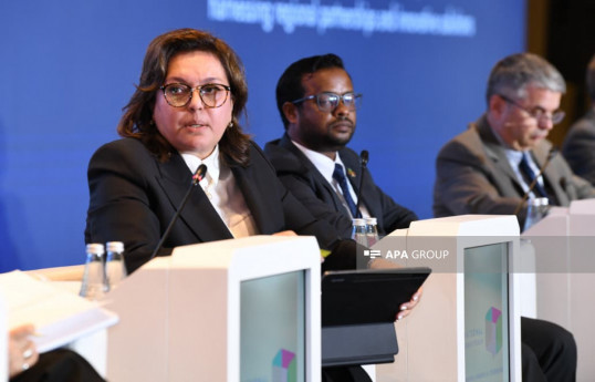 Vice-ministre de l'Écologie et des Ressources naturelles, Umayra Taghiyeva