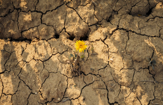 Août 2025 a été le troisième mois d'août le plus chaud jamais mesuré sur Terre