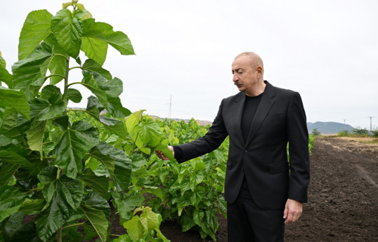 Déplacement du président Ilham Aliyev dans la région de Khodjaly