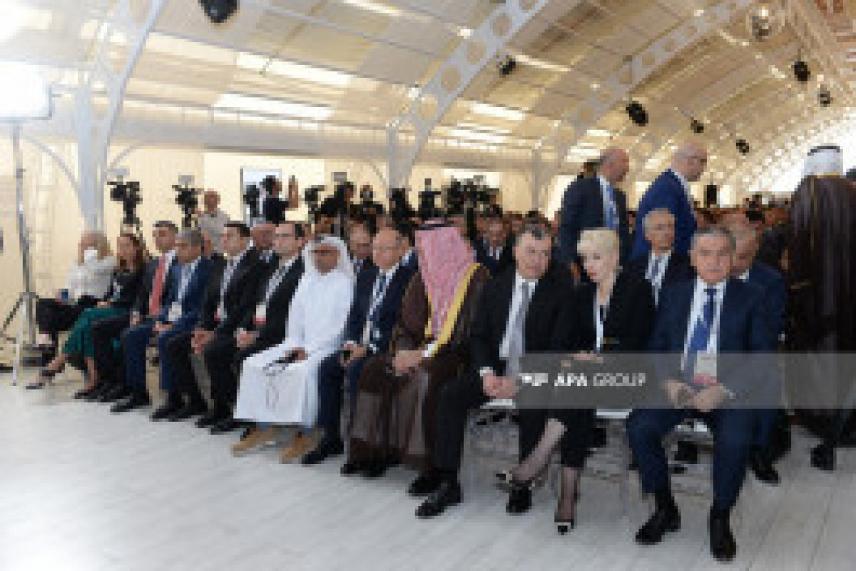 Le 1er Forum international d'investissement d'Azerbaïdjan s'ouvre à Bakou - Photo 