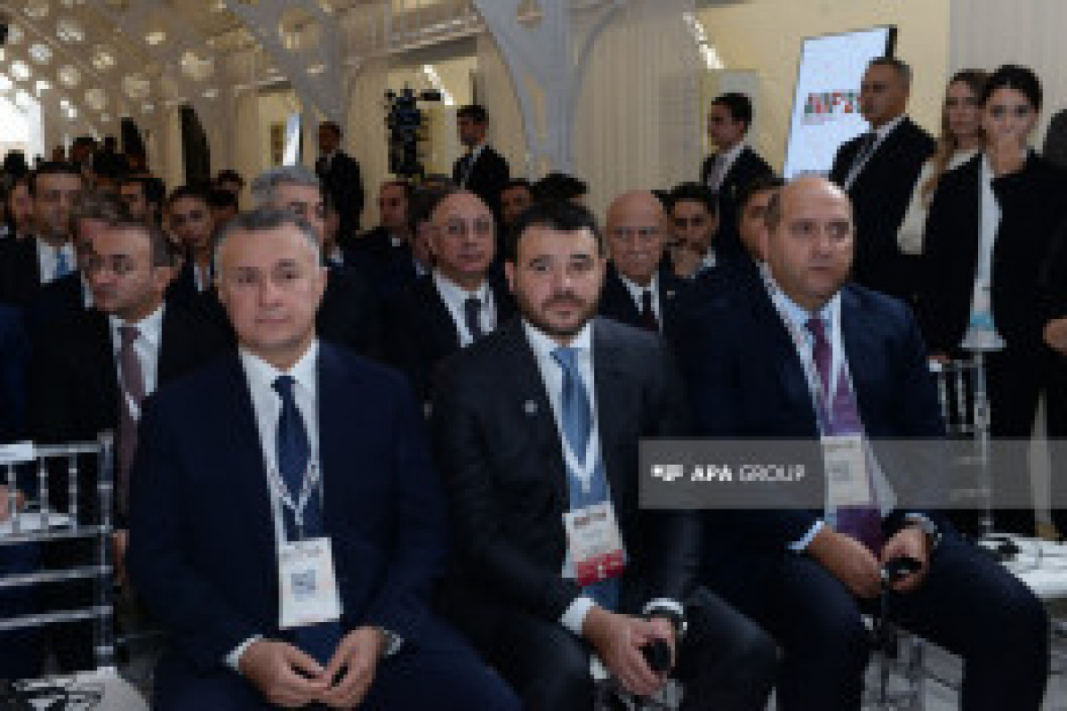 Le 1er Forum international d'investissement d'Azerbaïdjan s'ouvre à Bakou - Photo 
