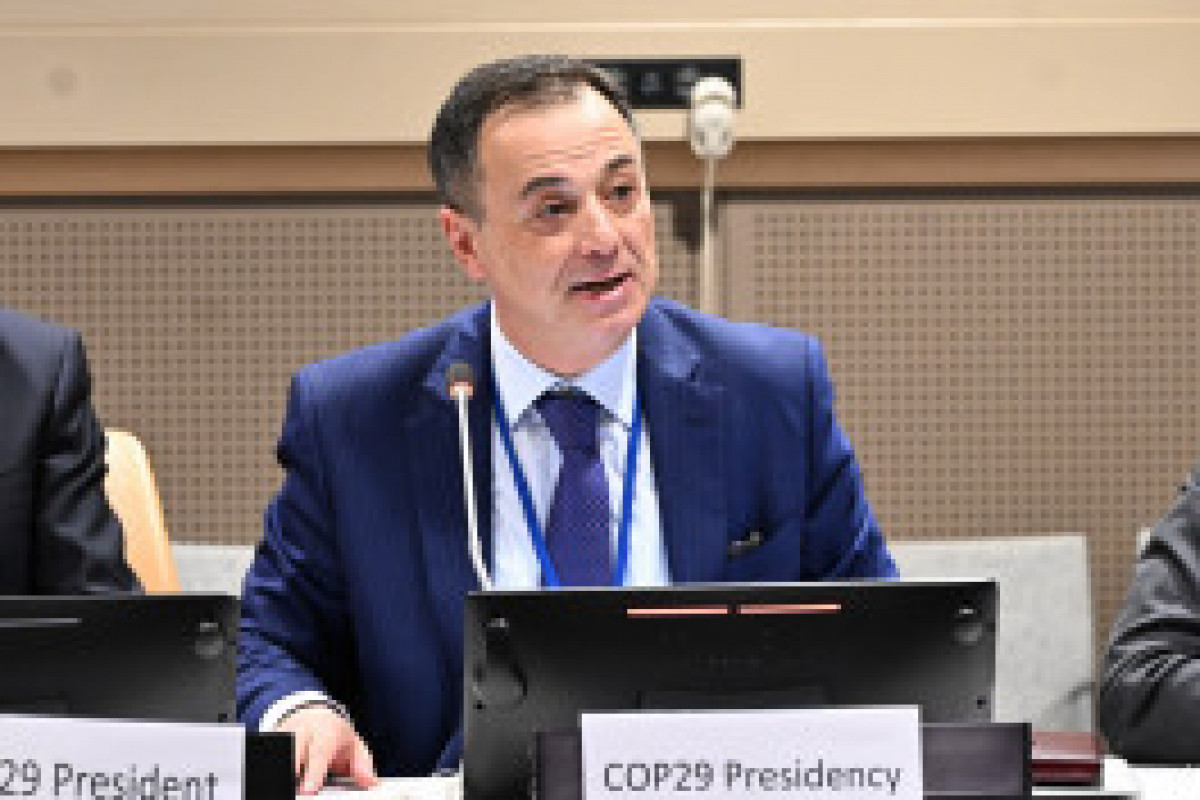 L'Azerbaïdjan soutiendra les pays africains dans leur diplomatie climatique