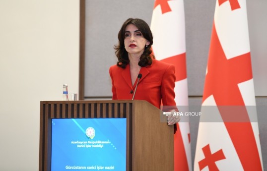 Ministre des Affaires étrangères de Géorgie : Les relations avec l’Azerbaïdjan sont très intenses 
