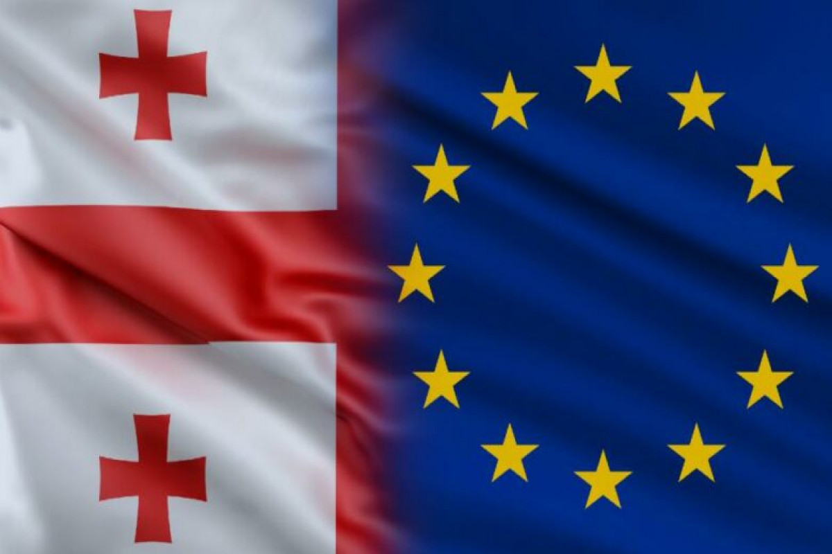 25 pays membres de l’UE ont soutenu la suspension du régime sans visa pour les diplomates géorgiens