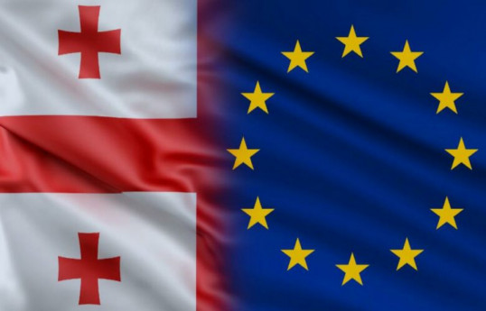 25 pays membres de l’UE ont soutenu la suspension du régime sans visa pour les diplomates géorgiens