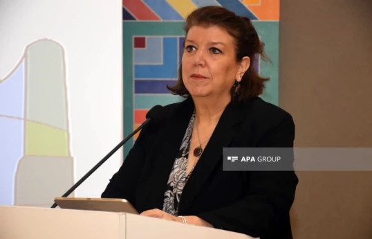 Représentant de l’ONU : Nous avons reçu des propositions de la part des ONG azerbaïdjanaises concernant Wuf13 dans 90 domaines