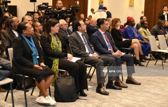 Une conférence internationale sur le thème « Néocolonialisme et inégalités mondiales » se tient à Bakou-PHOTO 