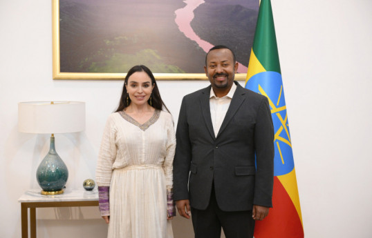 Leyla Aliyeva a rencontré le Premier ministre éthiopien
