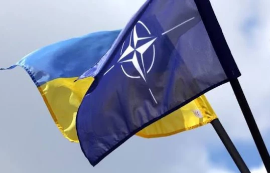 Lors du sommet de l'OTAN, un programme d'aide militaire de 140 milliards d'euros sera accordé à l'Ukraine