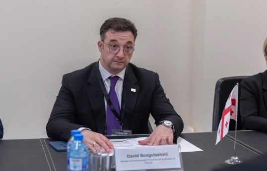 Ministre géorgien : le rôle du Corridor médian est très important pour la sécurité alimentaire régionale