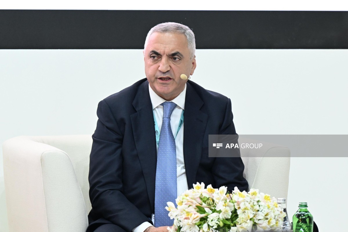 Représentant spécial du président, Eltchin Youssoubov
