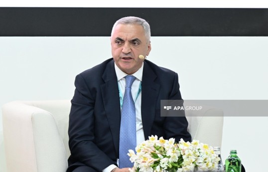 Représentant spécial du président, Eltchin Youssoubov